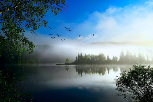 Responsible Eco-Tourism